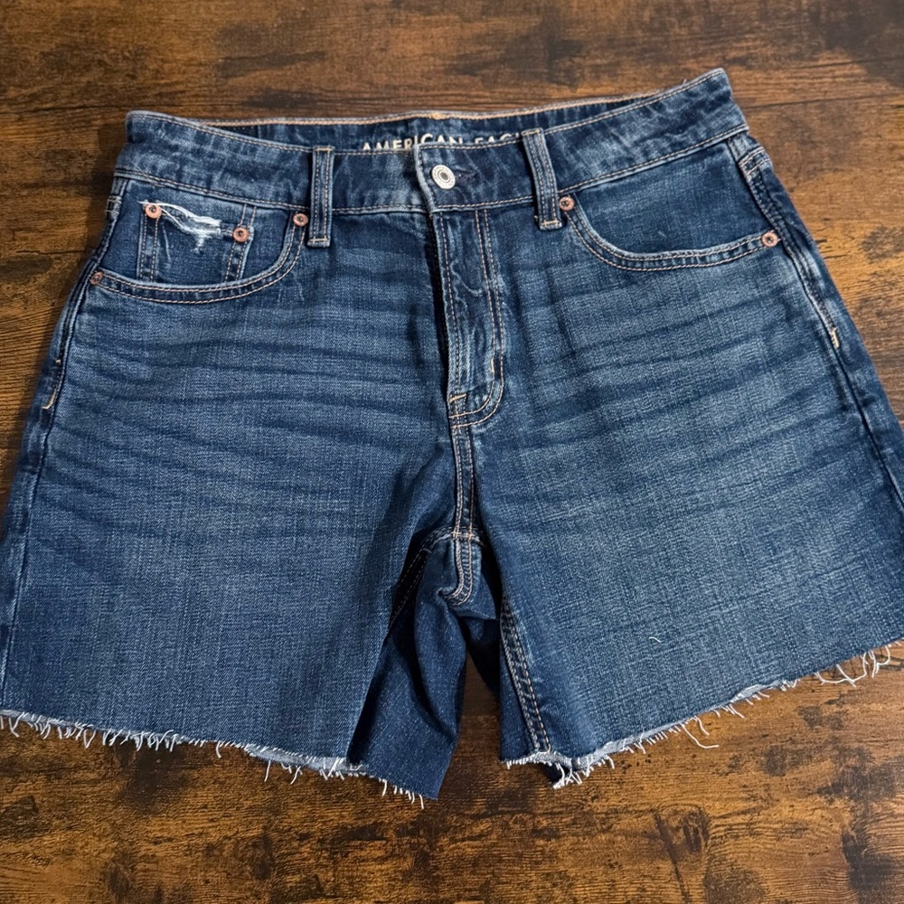 American Eagle Low Rise Baggy Short